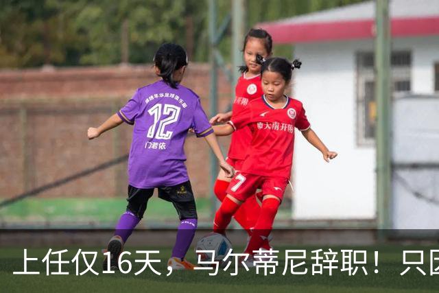 上任仅16天，马尔蒂尼辞职！只因心仪主帅皮尔洛被意大利足协否决