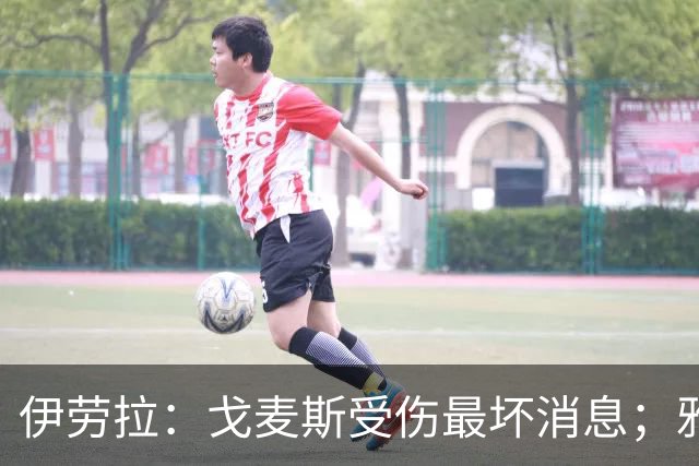 伊劳拉：戈麦斯受伤最坏消息；雅凯可能在美国行末战出场