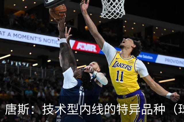 唐斯：技术型内线的特异品种（球员赛季分析报告）